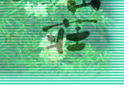 悤XR̃EFuTCg